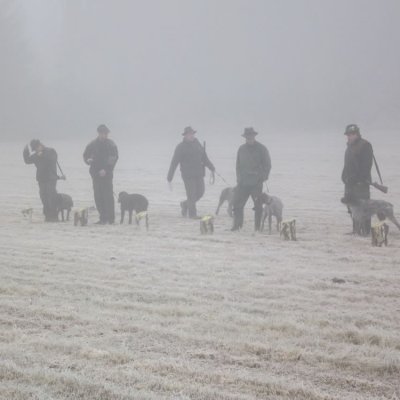 Fotografie 7 z galerie Podzimní zkoušky loveckých psů