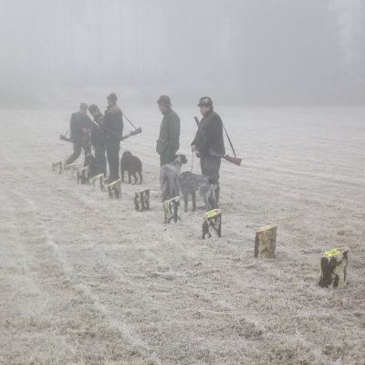 Fotografie 8 z galerie Podzimní zkoušky loveckých psů