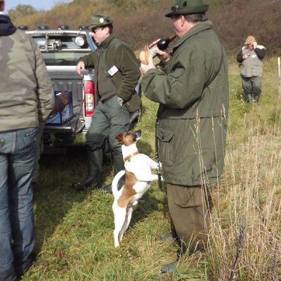 Fotografie 17 z galerie Podzimní zkoušky loveckých psů