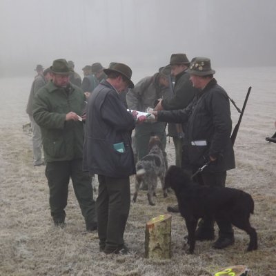 Fotografie 21 z galerie Podzimní zkoušky loveckých psů