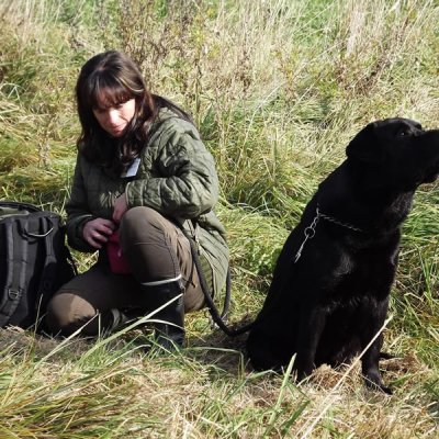 Fotografie 28 z galerie Podzimní zkoušky loveckých psů