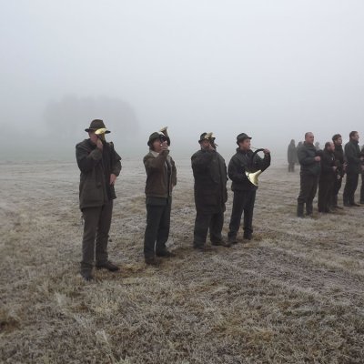 Fotografie 54 z galerie Podzimní zkoušky loveckých psů