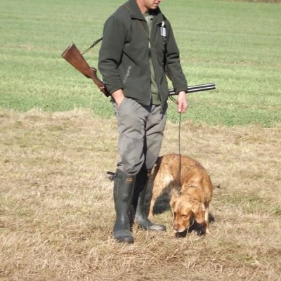 Fotografie 59 z galerie Podzimní zkoušky loveckých psů