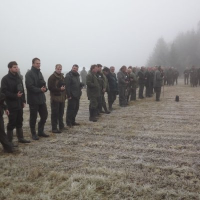 Fotografie 65 z galerie Podzimní zkoušky loveckých psů