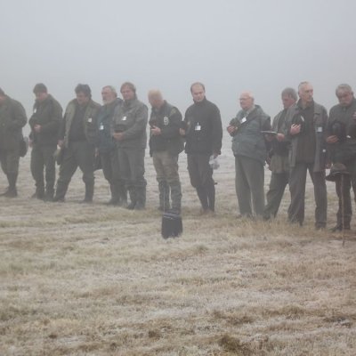 Fotografie 76 z galerie Podzimní zkoušky loveckých psů