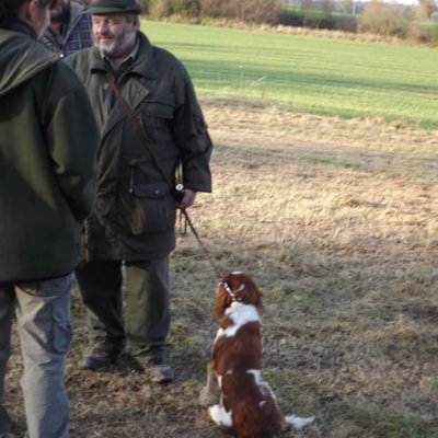 Fotografie 84 z galerie Podzimní zkoušky loveckých psů