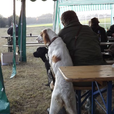 Fotografie 86 z galerie Podzimní zkoušky loveckých psů