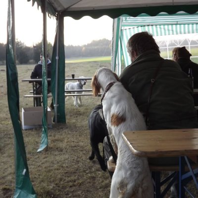 Fotografie 88 z galerie Podzimní zkoušky loveckých psů