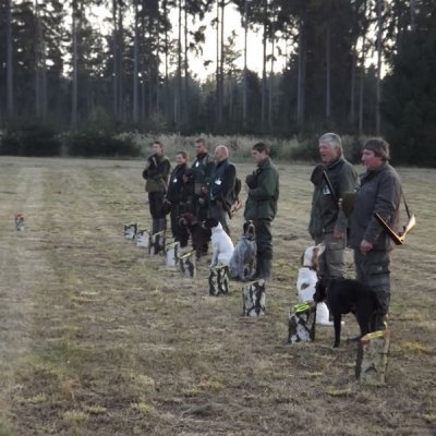 Fotografie 97 z galerie Podzimní zkoušky loveckých psů