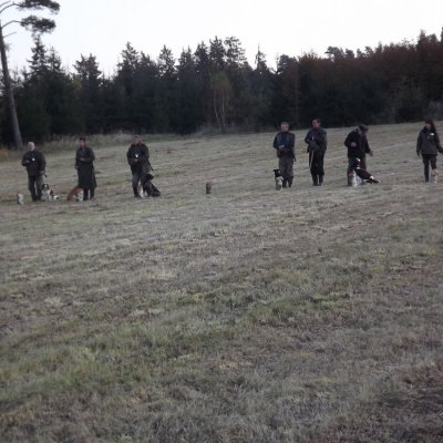 Fotografie 99 z galerie Podzimní zkoušky loveckých psů