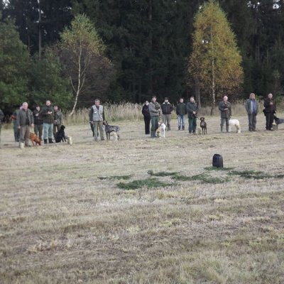 Fotografie 100 z galerie Podzimní zkoušky loveckých psů