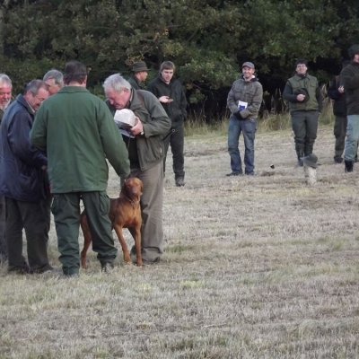 Fotografie 107 z galerie Podzimní zkoušky loveckých psů