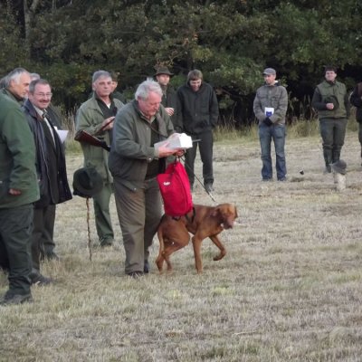 Fotografie 108 z galerie Podzimní zkoušky loveckých psů