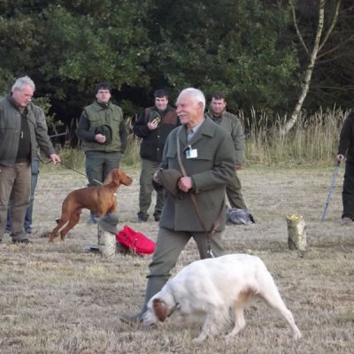 Fotografie 110 z galerie Podzimní zkoušky loveckých psů