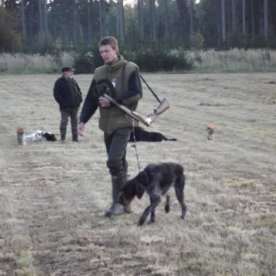 Fotografie 116 z galerie Podzimní zkoušky loveckých psů