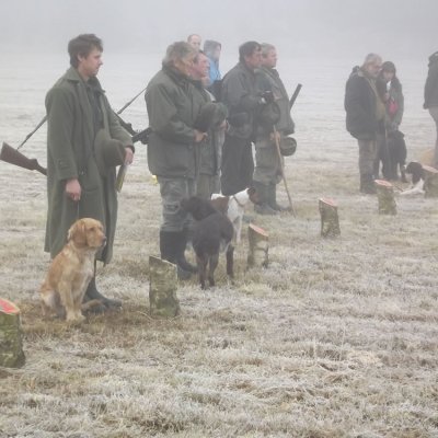 Fotografie 120 z galerie Podzimní zkoušky loveckých psů