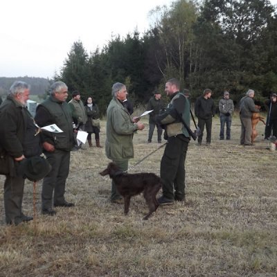 Fotografie 121 z galerie Podzimní zkoušky loveckých psů