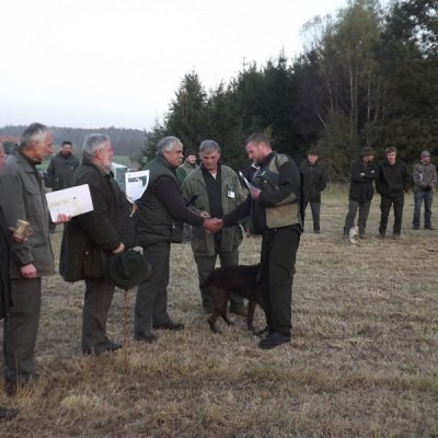 Fotografie 122 z galerie Podzimní zkoušky loveckých psů