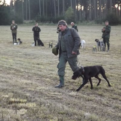 Fotografie 129 z galerie Podzimní zkoušky loveckých psů