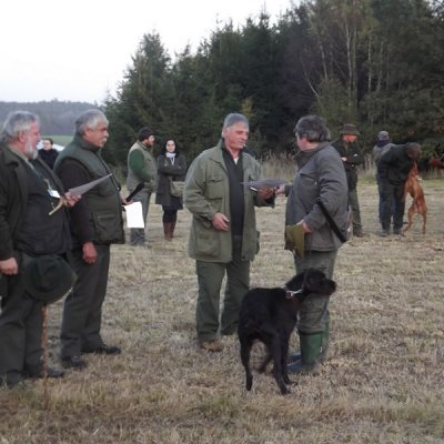 Fotografie 130 z galerie Podzimní zkoušky loveckých psů