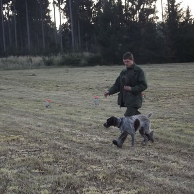 Fotografie 133 z galerie Podzimní zkoušky loveckých psů