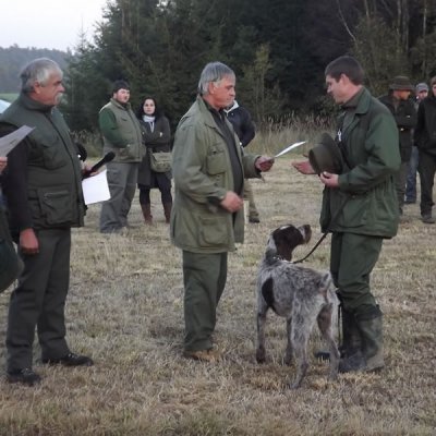 Fotografie 134 z galerie Podzimní zkoušky loveckých psů