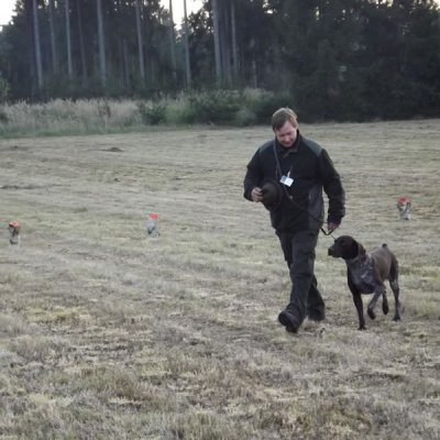 Fotografie 136 z galerie Podzimní zkoušky loveckých psů