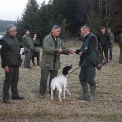 Fotografie 140 z galerie Podzimní zkoušky loveckých psů