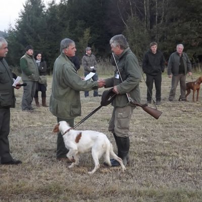 Fotografie 143 z galerie Podzimní zkoušky loveckých psů