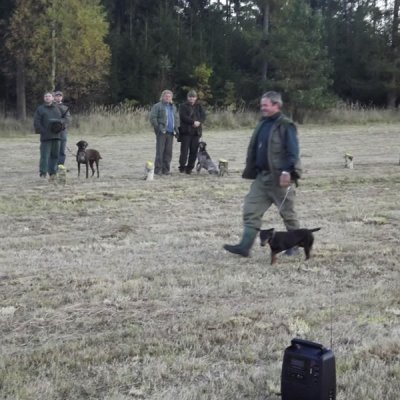 Fotografie 146 z galerie Podzimní zkoušky loveckých psů
