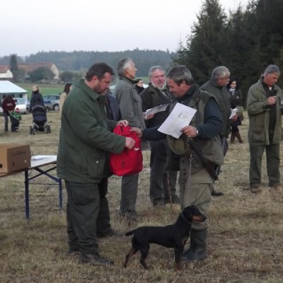 Fotografie 150 z galerie Podzimní zkoušky loveckých psů