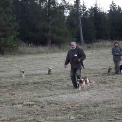 Fotografie 155 z galerie Podzimní zkoušky loveckých psů