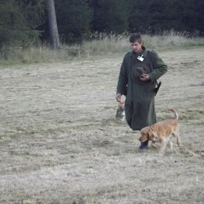 Fotografie 158 z galerie Podzimní zkoušky loveckých psů