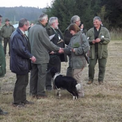 Fotografie 161 z galerie Podzimní zkoušky loveckých psů