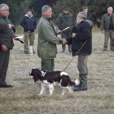 Fotografie 165 z galerie Podzimní zkoušky loveckých psů