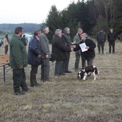 Fotografie 166 z galerie Podzimní zkoušky loveckých psů