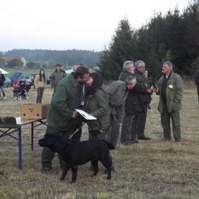Fotografie 167 z galerie Podzimní zkoušky loveckých psů