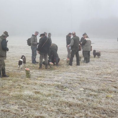 Fotografie 171 z galerie Podzimní zkoušky loveckých psů
