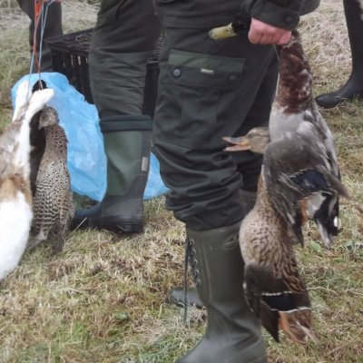 Fotografie 173 z galerie Podzimní zkoušky loveckých psů