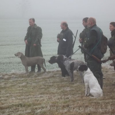 Fotografie 184 z galerie Podzimní zkoušky loveckých psů