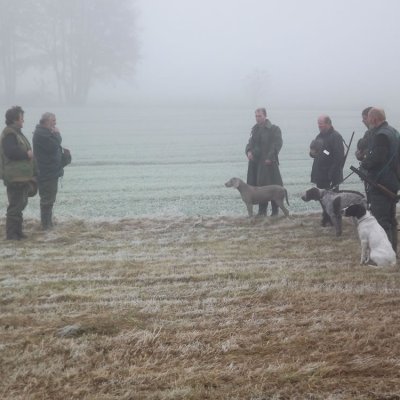 Fotografie 185 z galerie Podzimní zkoušky loveckých psů