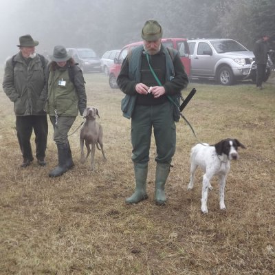 Fotografie 186 z galerie Podzimní zkoušky loveckých psů