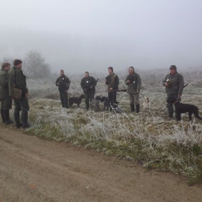 Fotografie 189 z galerie Podzimní zkoušky loveckých psů