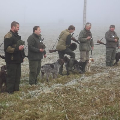 Fotografie 190 z galerie Podzimní zkoušky loveckých psů