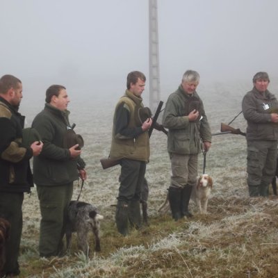 Fotografie 192 z galerie Podzimní zkoušky loveckých psů