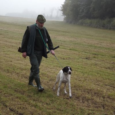 Fotografie 212 z galerie Podzimní zkoušky loveckých psů