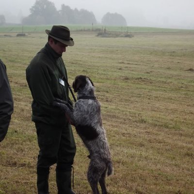 Fotografie 214 z galerie Podzimní zkoušky loveckých psů