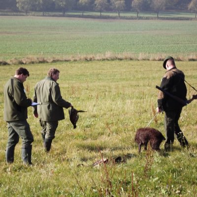 Fotografie 218 z galerie Podzimní zkoušky loveckých psů