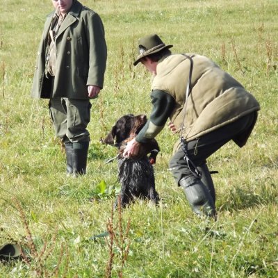 Fotografie 225 z galerie Podzimní zkoušky loveckých psů