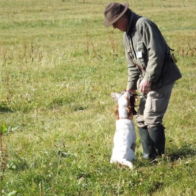 Fotografie 228 z galerie Podzimní zkoušky loveckých psů